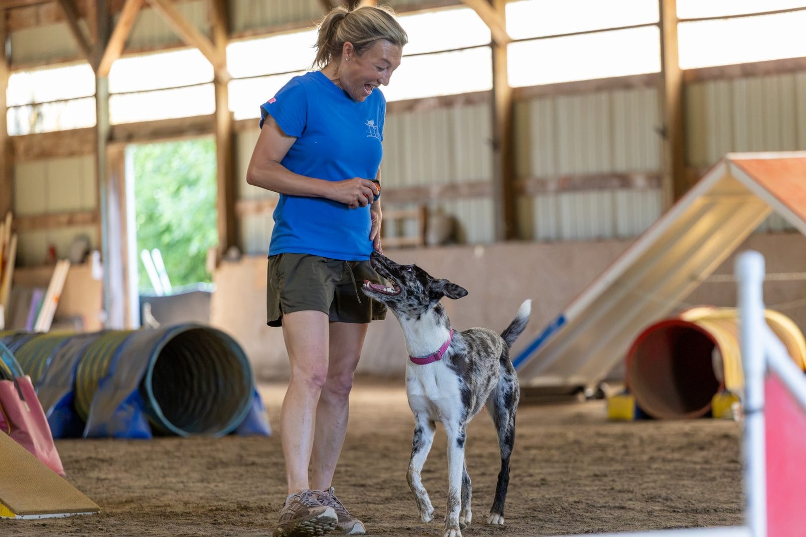 A handler rewarding their dog during agility training